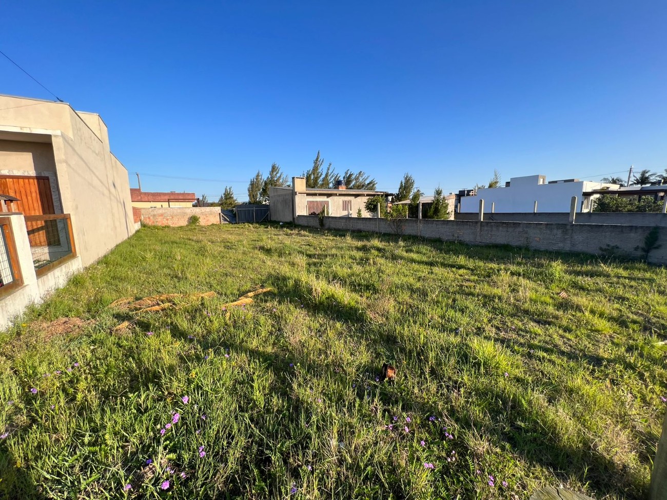 Terreno para venda, Coqueiros  em Xangri-lá | Ref.: 2077